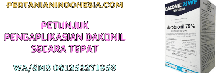 petunjuk,aplikasi,daconil,exindo,daconil 75 wp,pertanian indonesia